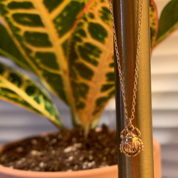 Scarab Necklace - Picture 4 of 5